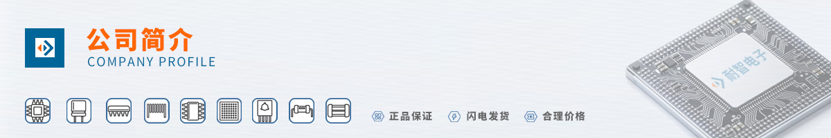 Power Integrations��˾����