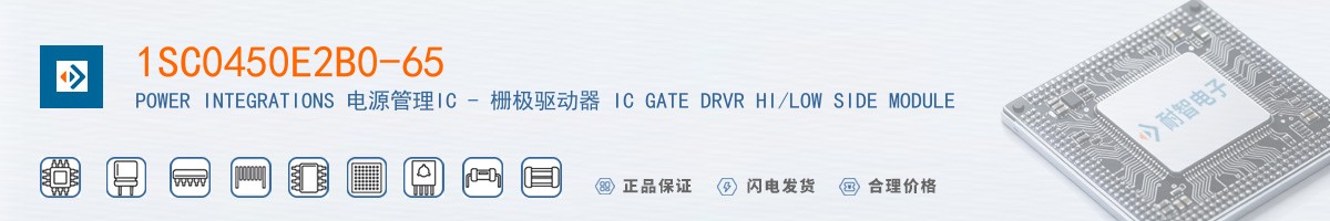 1SC0450E2B0-65������