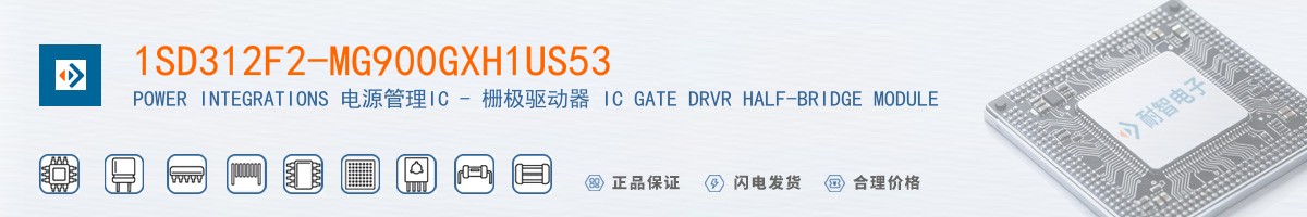 1SD312F2-MG900GXH1US53������