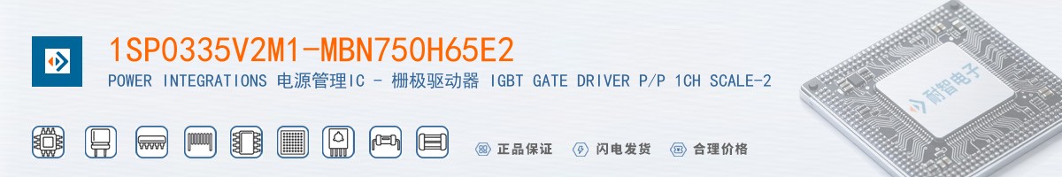 1SP0335V2M1-MBN750H65E2������