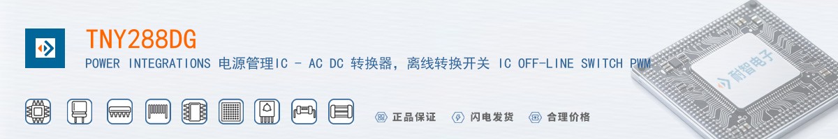 TNY288DG������